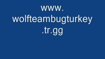 Wolfteam Bug