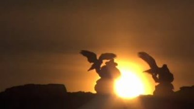 Kazak Türkleri Kartalla Tilki avında HD izle