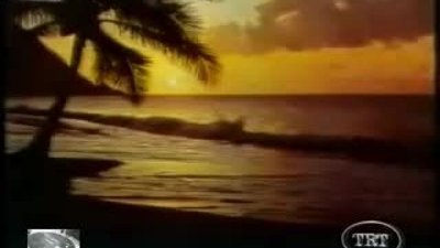 Defne Yalnız, Abdullah Şahin, Cenk Koray