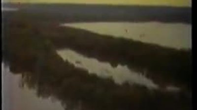 Hucklerberry Fin ve Arkadaşı