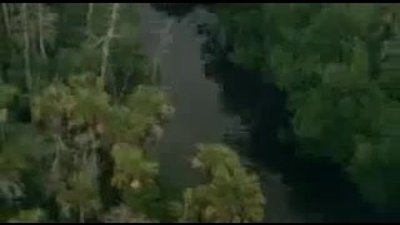 Dev Karıncalar İmparatorluğu