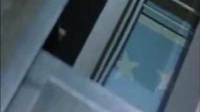 Survivor - Eye of the Tiger