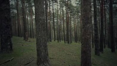 Kaykaycı güzel kızlardan süper gösteri