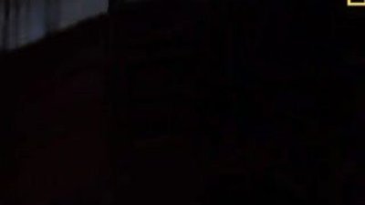 Jaguar' ın Timsah yavrusu avı