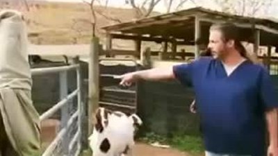 Besmelenin Etkisi (deney) 