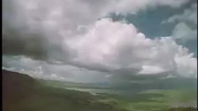 İki Aslan bir Zebranın peşinde