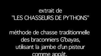 Piton Yılanını Ayağı ile yakalayan adam