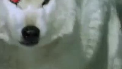 Kurdun Savaş Alanı 3 Türkçe