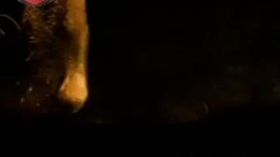 Kurdun Savaş Alanı 4 Türkçe