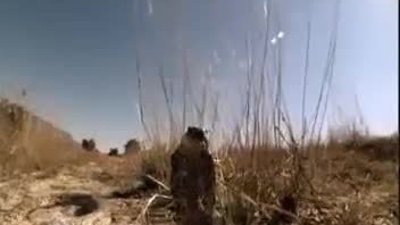 Afrikanın ölüm makinaları 1.Bölüm