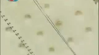 Sezen Aksu - Biliyorsun