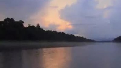 Amazonun Zehirli Hayvanları 1.Bölüm Türkçe