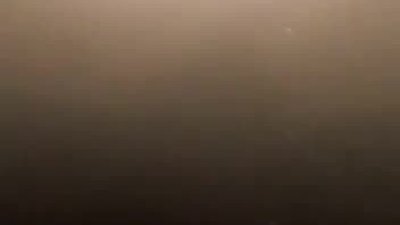 Amazonun Zehirli Hayvanları 3.Bölüm Türkçe