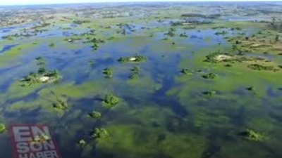 Geçimlerini yılanla sağlayan aile HD