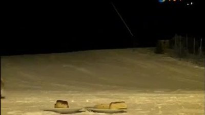 Tatilcilere tilki sürprizi