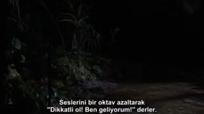 Avcılar ve Avlananlar Bölüm 2 / 4