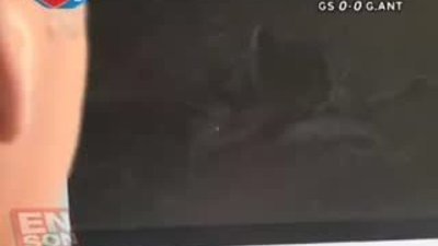 Aç gözlü Büyük Kedilerin av keyfi