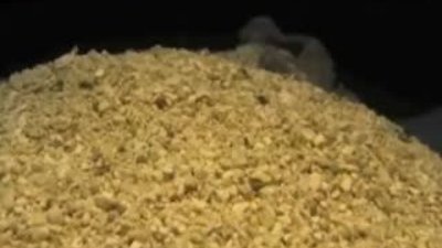 Deniz mercanının doğayla mücadelesi