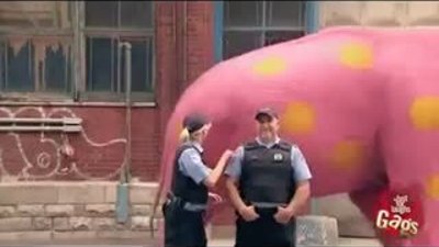 Kamera Şakası - Pembe Fil