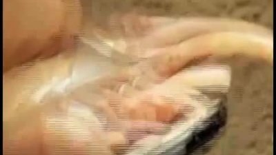 Tırnağını kesmedi, ayakkabısını kesti