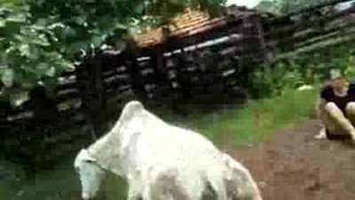 Kadını Bir tekmeyle nakavt etti