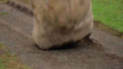 Moai'lerin bir sırrı çözüldü