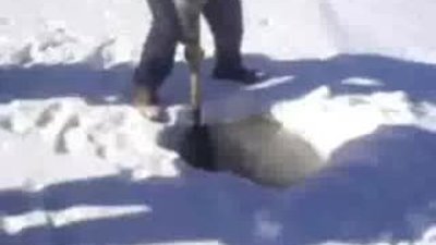 Çıldır Gölünde balık avı