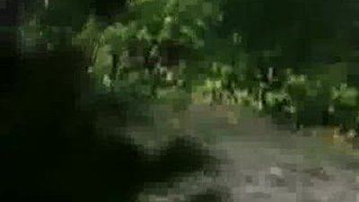 Malazgirt Keklik Avı