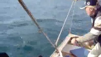 Palamut Balığı avı