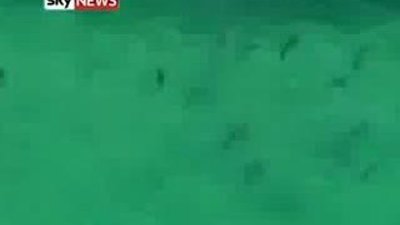 Yüzlerce köpekbalığı saldırdı