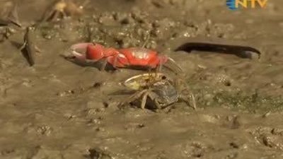 Eve ekmek değil çamur götüyor