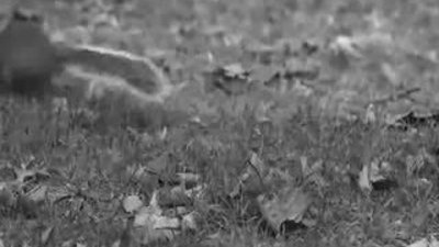  Bar Rafaeli Noel anne oldu