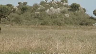 Anne zürefanın yürek yakan dramı