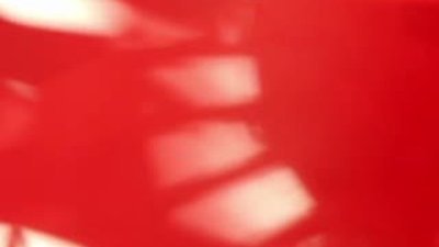 Ağaçların moda ikonu: Christian Louboutin Yılbaşı ağacı