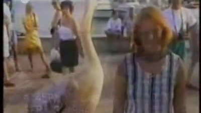 Hayvanlar aleminin en çok izlenen videoları