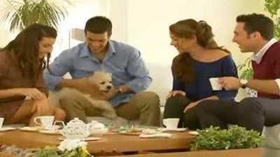 Sarphan Finans park Reklam Filmi