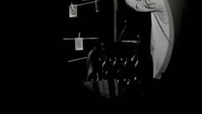 Wankelmut & Emma Louise - My Head Is A Jungle 