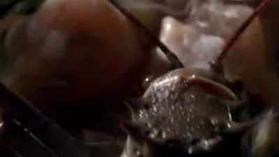 BBC: Africa 2013 - 1. Bölüm - Kalahari  (3-4) 