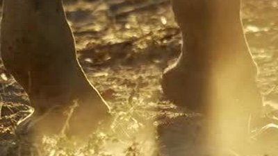 BBC: Africa 2013 - 1. Bölüm - Kalahari  (4-4) 