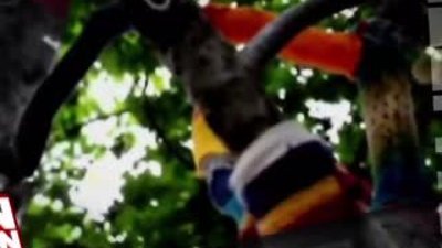 Gezi Parkı Milletindir Teaser HD