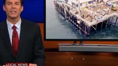 Tartışma yaratan Köpekbalığı Reklam filmi