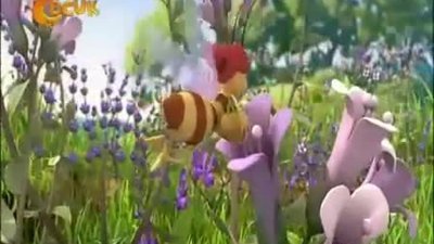 Arı Maya - 1 ve 2. Bölüm Çizgi Film