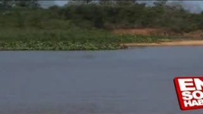 Jaguar'ın timsaha inanılmaz saldırısı!