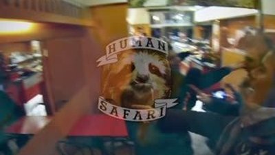 Kameraya Vura Vura Dünyayı Dolaştı HD