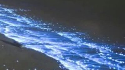 Maldivler kıyısında inanılmaz görüntü