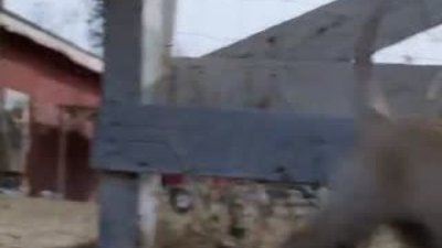 1 günde 12 milyon kez izlendi