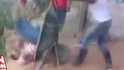 Arkadaşa eşek şakası