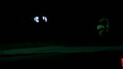 Dev örümcekle yapılan bu şaka kalpten götürür