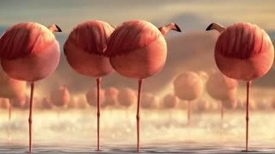 ROLLIN SAFARI - Animasyon Film