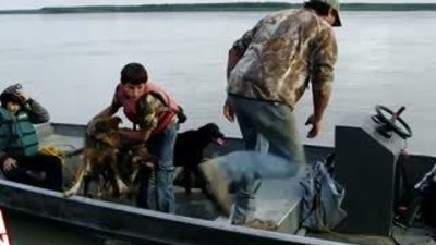 Kızak köpeklerinin zorlu eğitimi